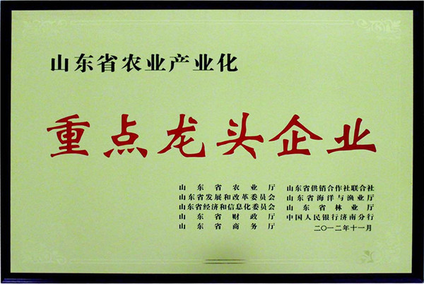 山东省龙头企业